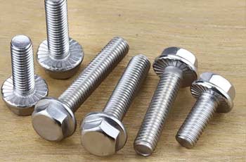 Stainless Steel Metric Flange Bolts