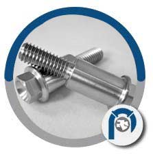 Stainless Steel Metric Flange Bolts