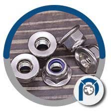 Stainless Steel Nylon-insert Flange Lock Nut