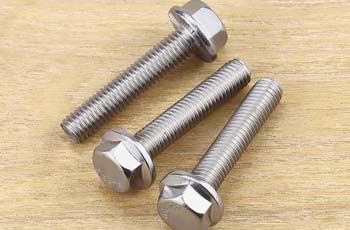 Stainless Steel Serrated Flange Bolts