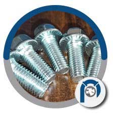 Stainless Steel Serrated Flange Bolts