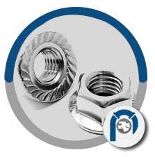 Stainless Steel Serrated Flange Nuts