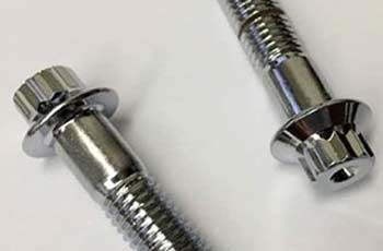 Stainless Steel Slotted Head Flange Bolts