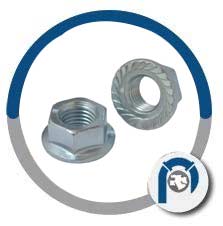 Steel Finish Flange Nut 
