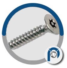 Super Duplex Stainless Steel A182 F55 Screws