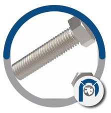 Tantalum Hex Head Screws Tantalum Hex Head Screws