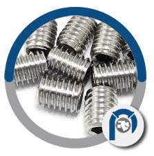 Ti Alloy Set Screws Ti Alloy Set Screws