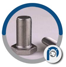 Titanium Alloy Sammys Screws Titanium Alloy Sammys Screws
