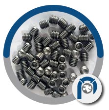Titanium Metal Grub Screws Titanium Metal Grub Screws