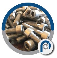 Titanium Socket Head Cap Screw Titanium Socket Head Cap Screw