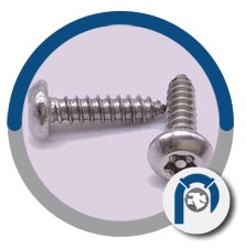 Titanium Steel Self Tapping Screws Titanium Steel Self Tapping Screws