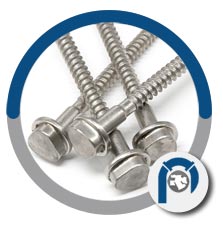 Titanium Steel Wood Screws Titanium Steel Wood Screws