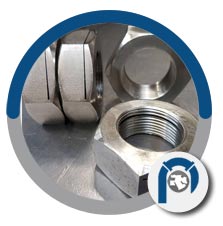 UNS 6022 Hex Nuts