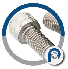 UNS R60702 Cap Screws UNS R60702 Cap Screws