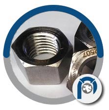 UNS S32750 Nut
