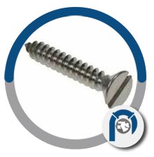 Werkstoff NR.2.4360 machine screws