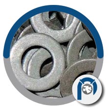 WNR 1.4876 flat washer