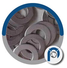 WNR 2.4660 plain washer WNR 2.4660 plain washer