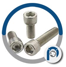 WNR 2.4669 socket head cap screw WNR 2.4669 socket head cap screw