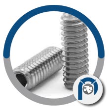 Zircaloy4 Set Screws Zircaloy4 Set Screws