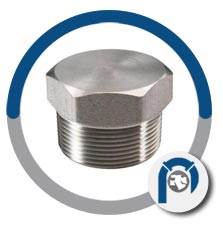 ASME SA182 AS Hex plug ASME SA182 AS Hex plug