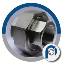 ASTM A182 SS 317L Union