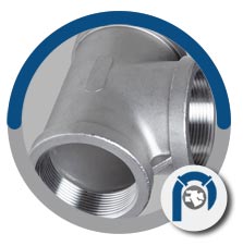 DIN 1.4301 Threaded Fittings DIN 1.4301 Threaded Fittings