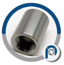 SA182 Grade F317L Coupling