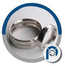 316L BX 160 Seal Ring Gasket