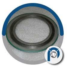 316L SS Full Face Spiral Wound Gasket
