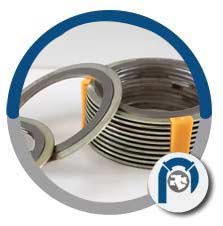 321 SS Spiral Wound Style RIR Gasket