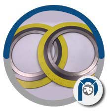AISI 304L CGI Spiral Wound Gasket