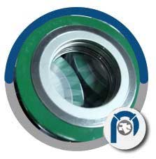 AISI 316L Style CGI Gasket