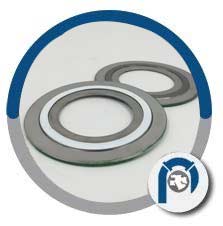 Alloy 20 SS Spiral Wound Style CGI Gasket
