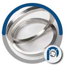 API 6BX Ring Joint Gaskets