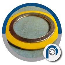 ASTM B363 Ti Spiral Wound Style CG Gasket