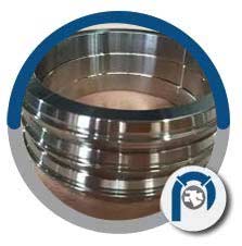BS 3381 Ring Gasket