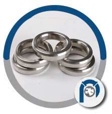 BX 151 Oval Ring Joint Gasket