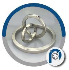BX-154 Metal Ring Gasket