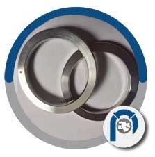 BX 154 Ring Joint Gasket