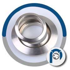 BX 155 RTJ Gasket