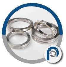 BX 164 Ring Type Joint Gasket