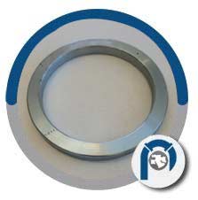 BX Ring Gasket