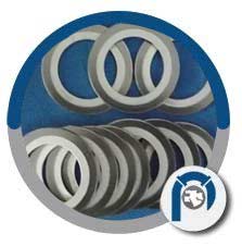 Carbon Steel Spiral Seal Gasket