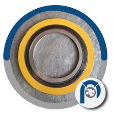 CGI Type Spiral Wound Gasket