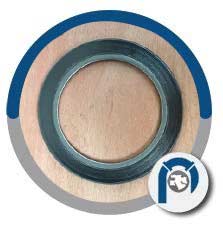 CS Ring Gasket