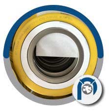 DIN 2.4816 Spiral Wound Style CGI Gasket