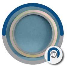 DIN 2.4858 Spiral Wound Style CG Gasket