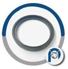Dixon Sanitary Q-Line Nitrile Rubber Gaskets