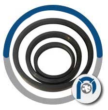 Ductile Iron Anchor Gaskets